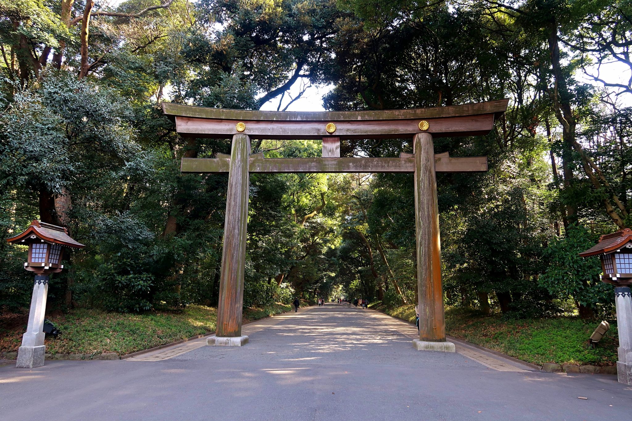 Tokyo - The Best Bits: The Meiji Shrine entrance from Yoyogi Park 