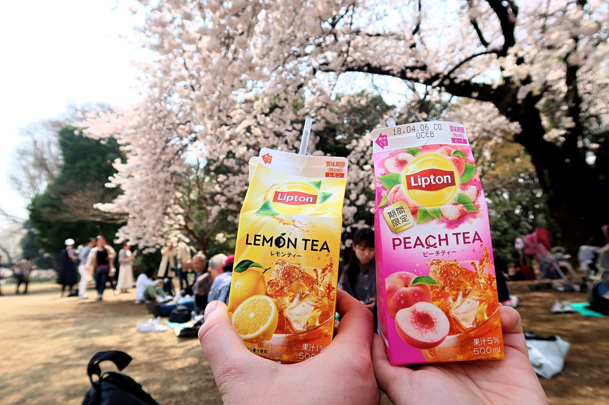 Tokyo - The Best Bits: cartons of lipton iced tea in Shinjuku Park 