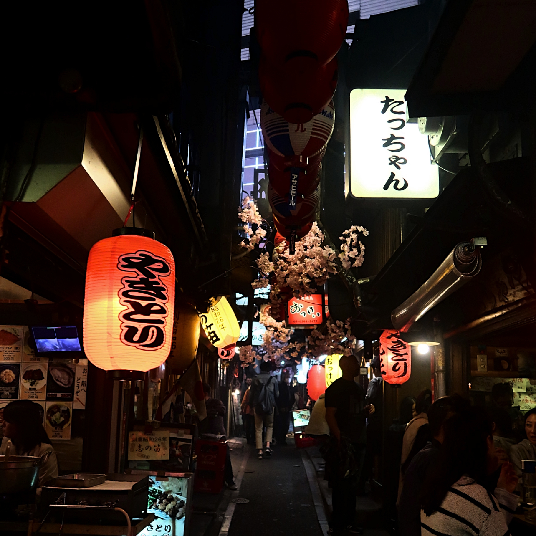 Tokyo - The Best Bits: Memory Lane, affectionately known as Piss Alley 
