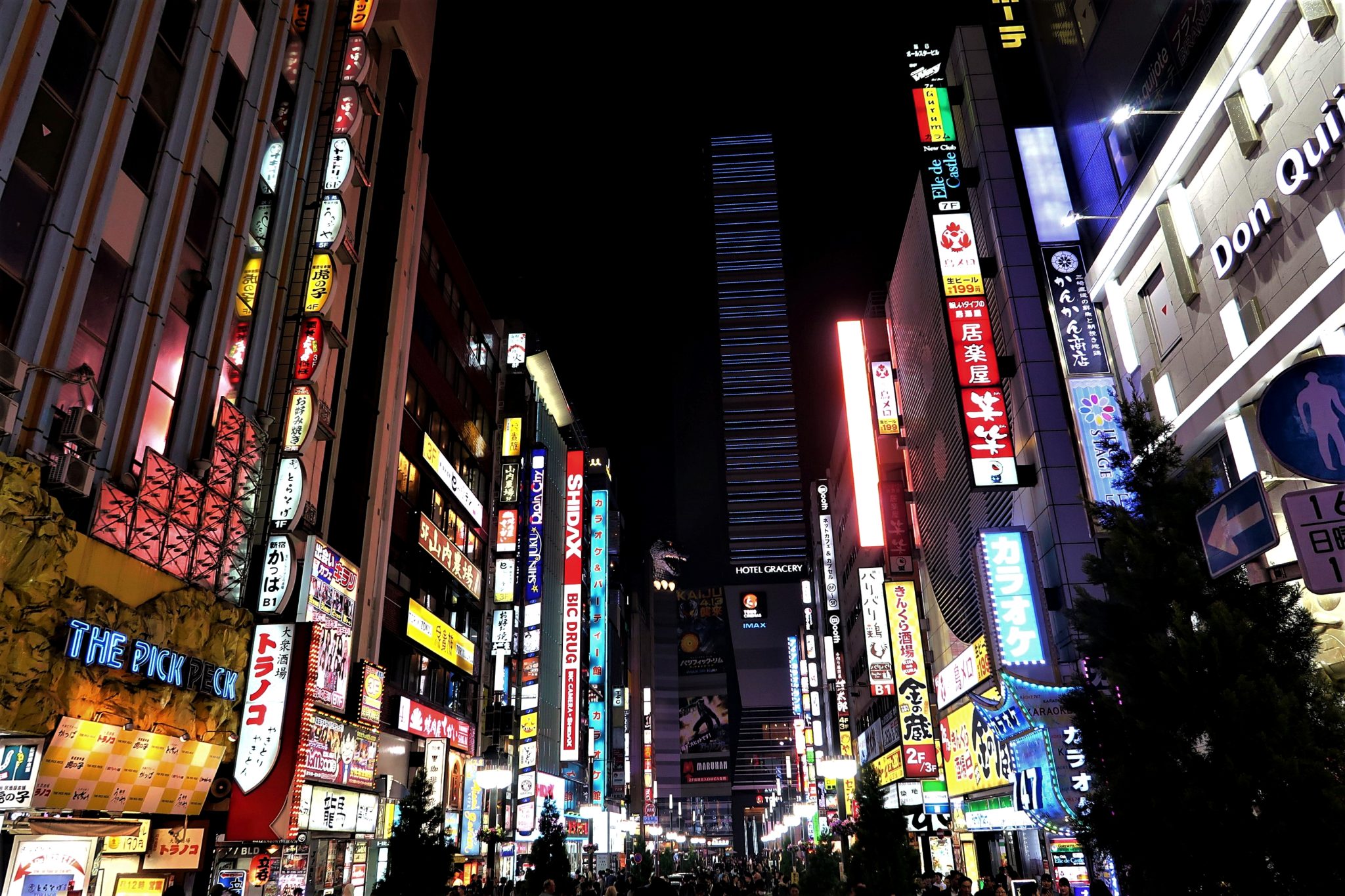 Tokyo - The Best Bits: Neon lights at Kabukicho 