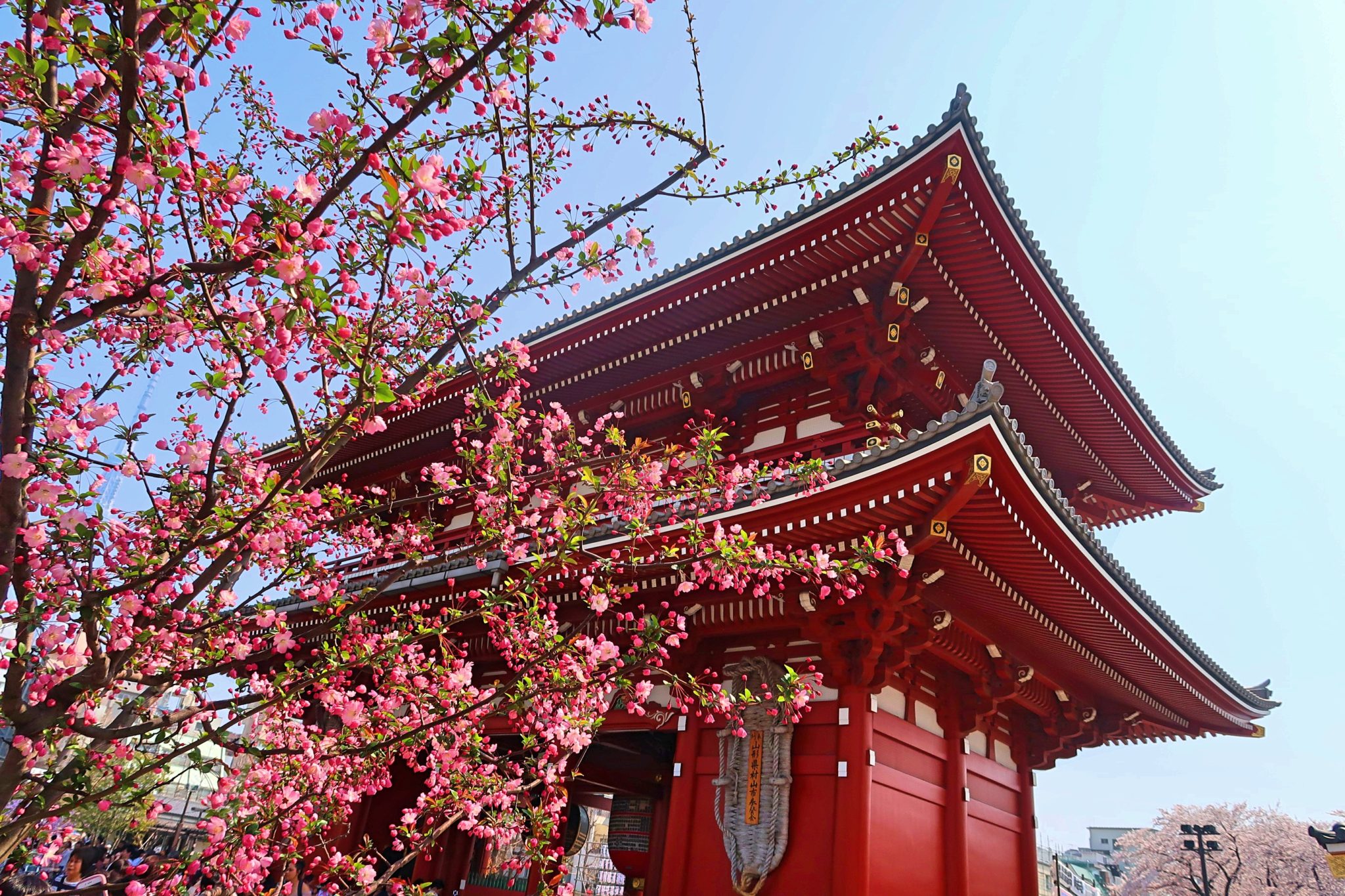 Tokyo - The Best Bits: Sensoji Temple 