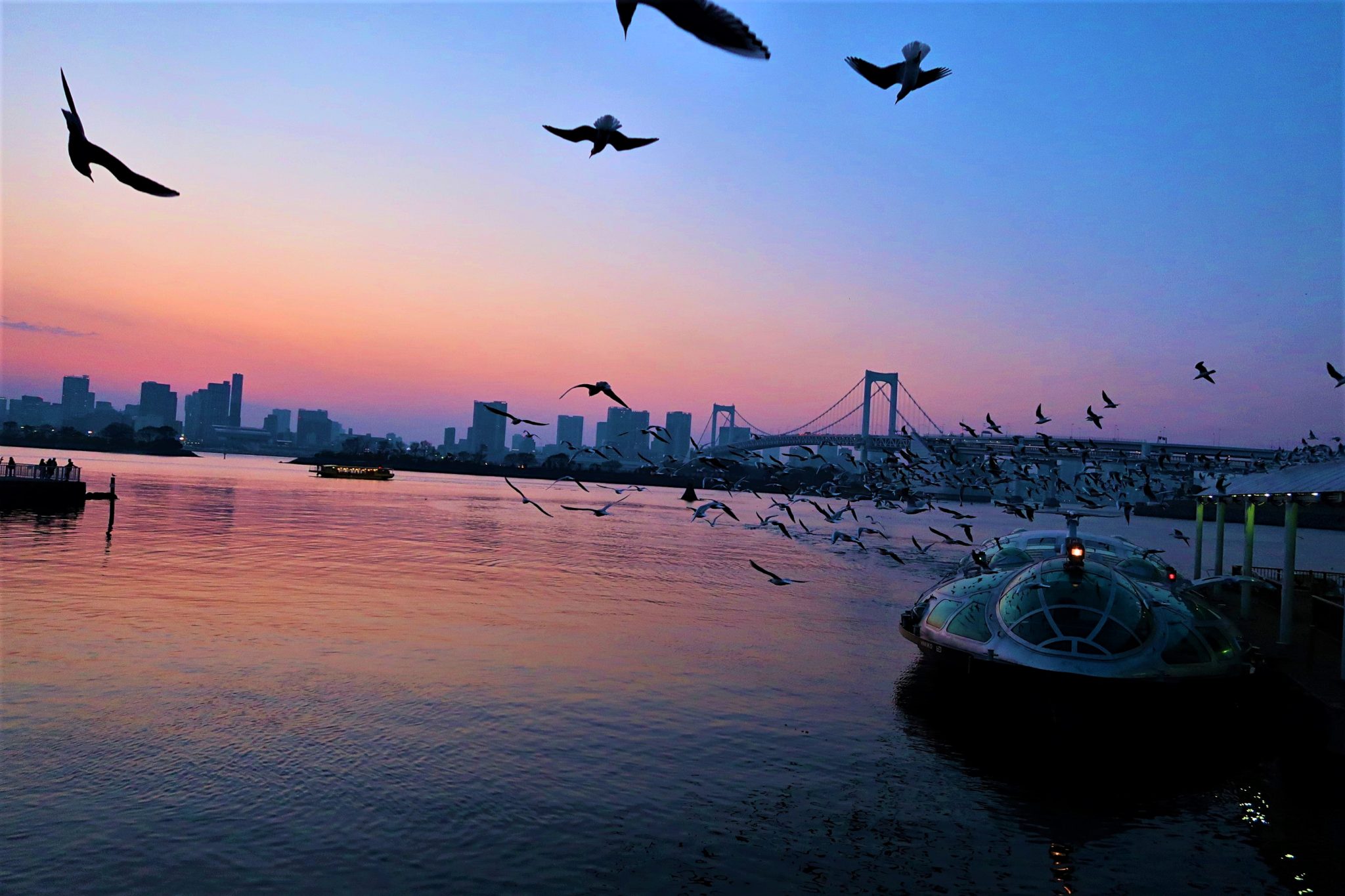 Tokyo - The Best Bits: Tokyo riverside water taxi, skyline and sunset 