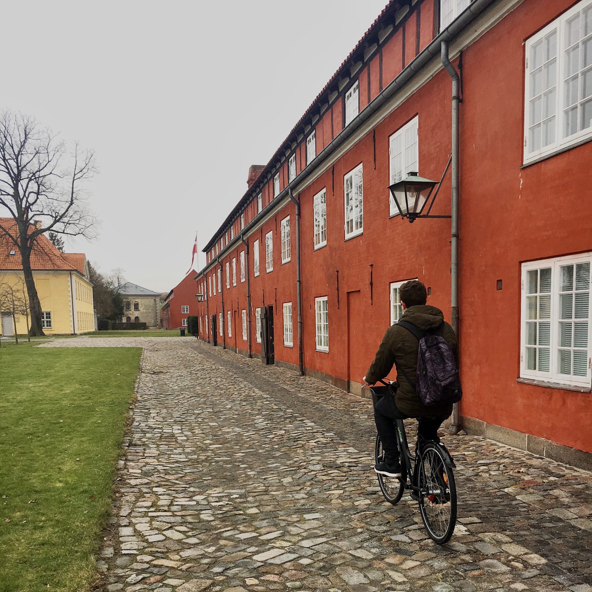 Copenhagen - Josh cycling 