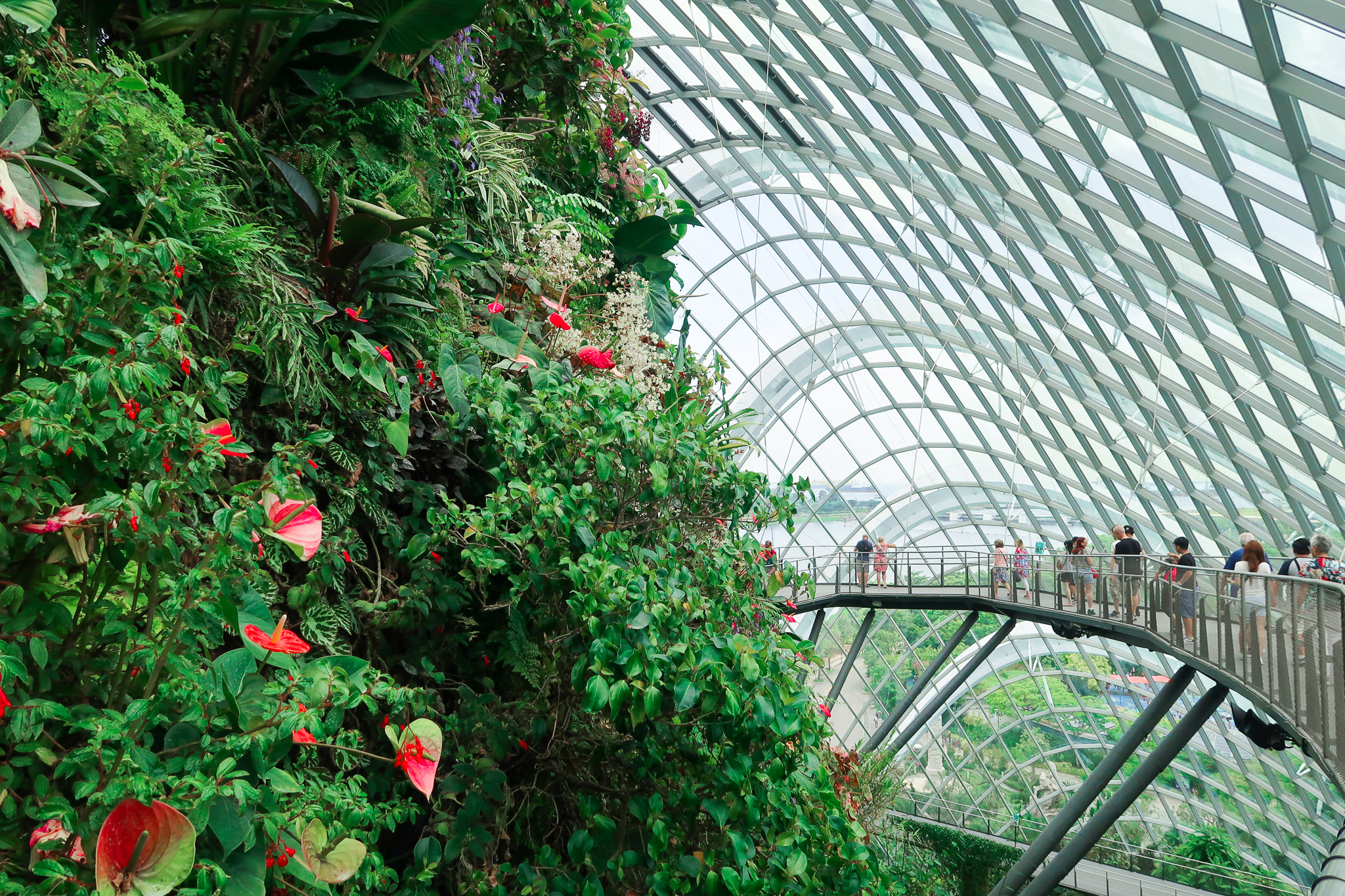 What to do in Singapore - Cloud Forest 