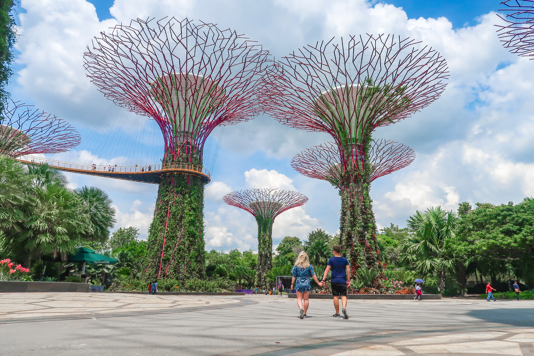 What to do in Singapore - Gardens by the Bay 