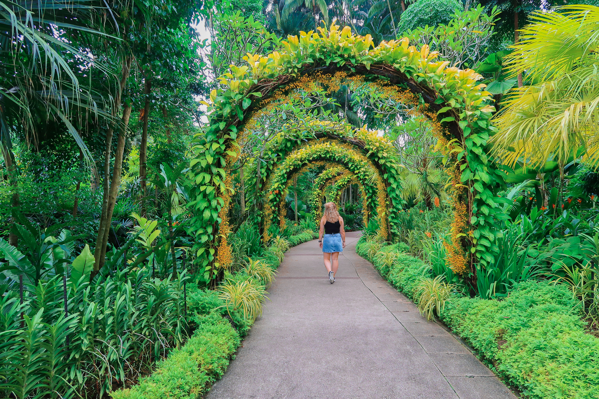 What to do in Singapore - Botanic Gardens 