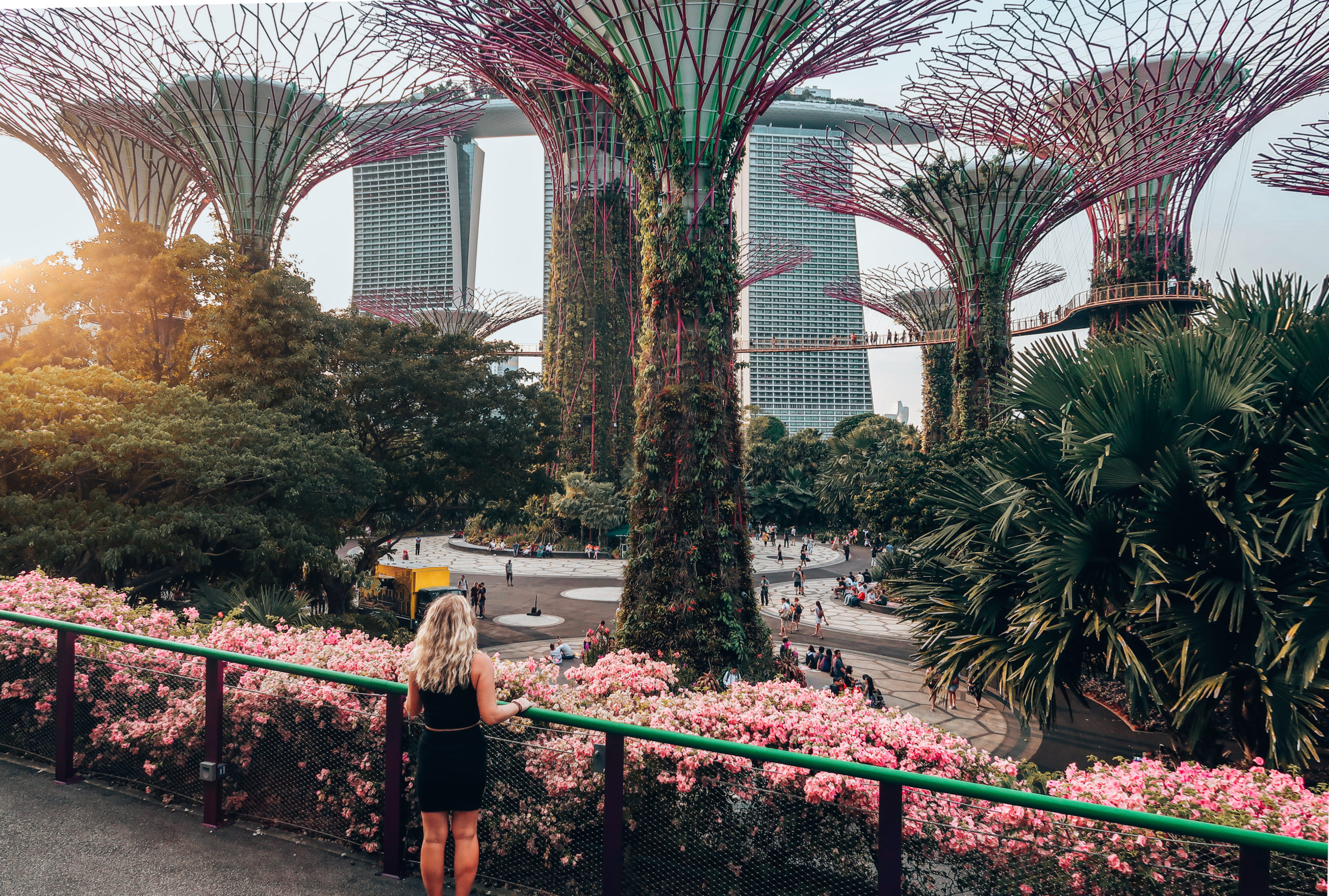 Visiting the Gardens by the Bay - Supertree Grove at sunset