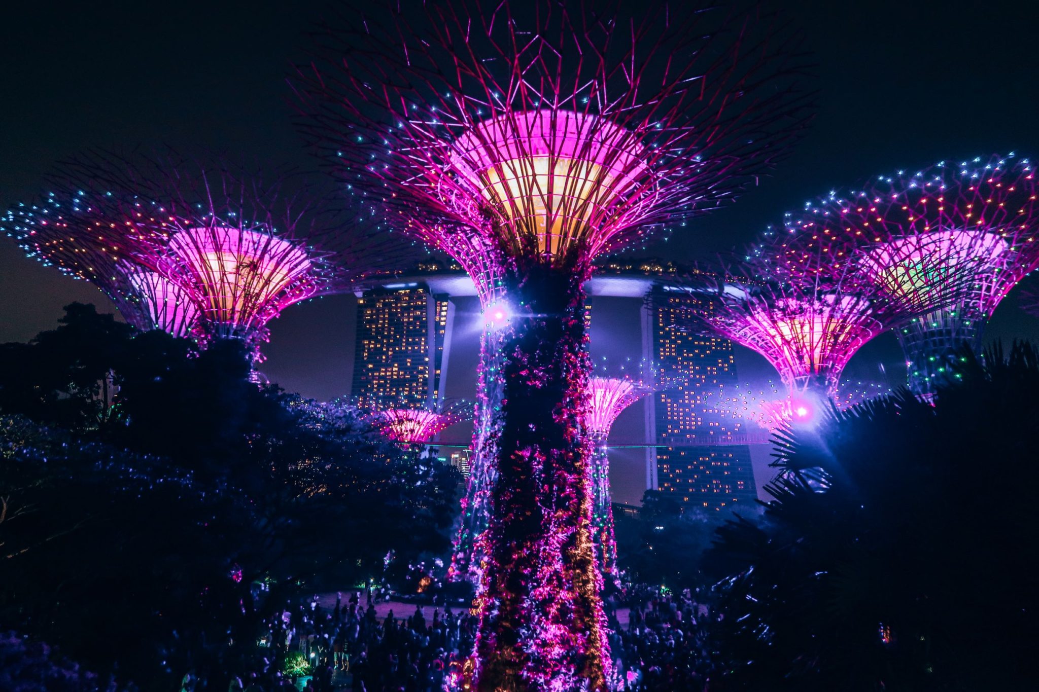 Visiting the Gardens by the Bay - Garden Rhapsody at the Supertree Grove