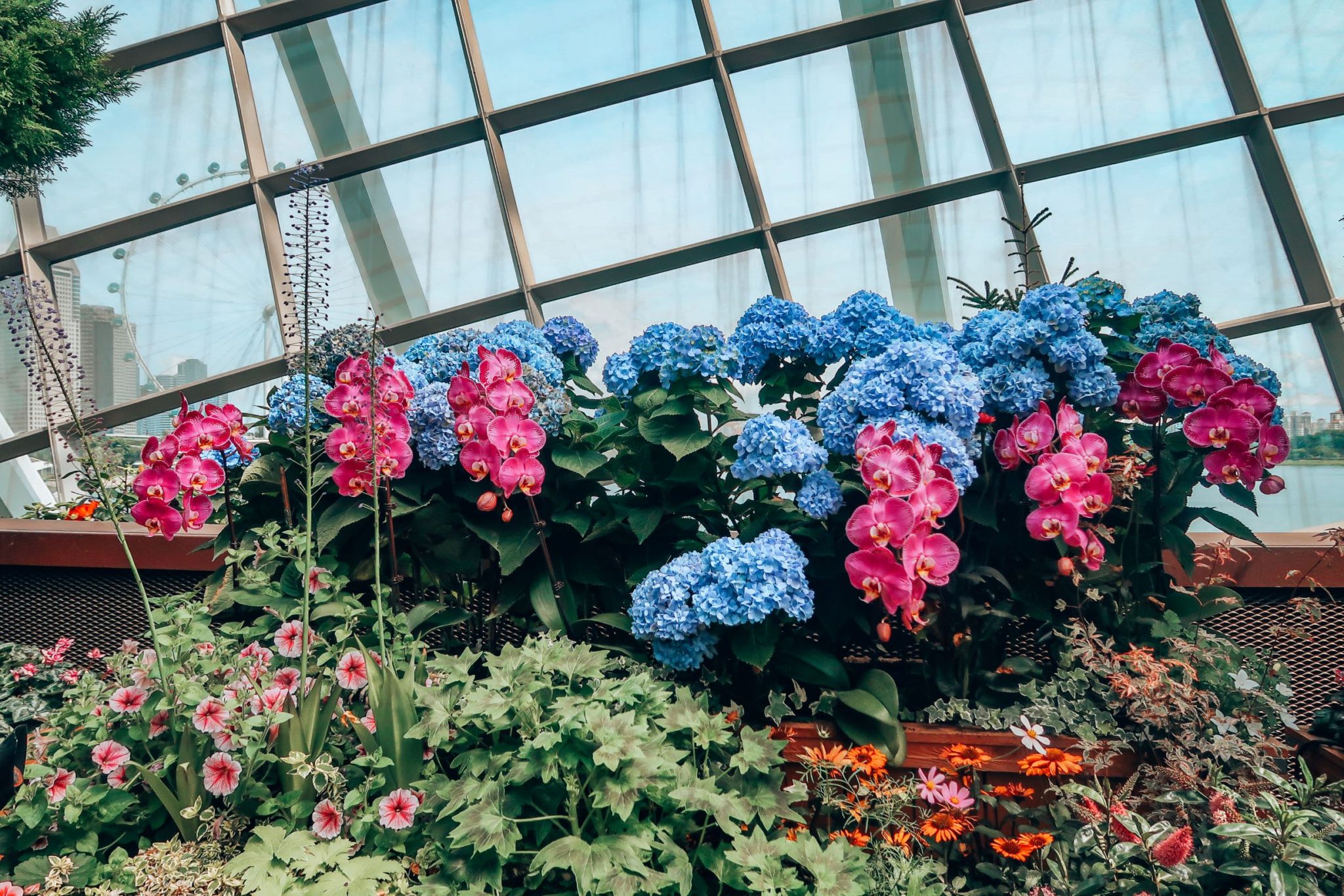 orchid display flower dome Singapore