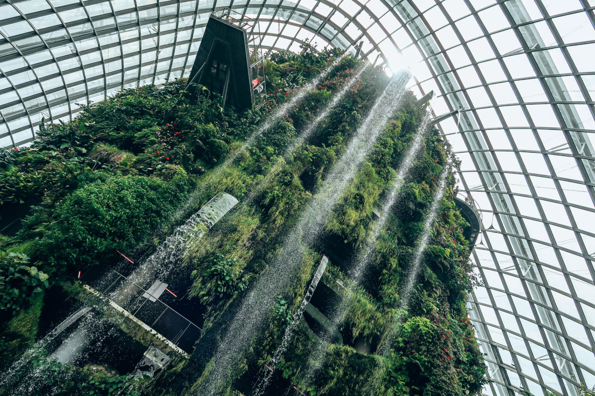 Visiting the Gardens by the Bay - indoor waterfall at the Cloud Forest