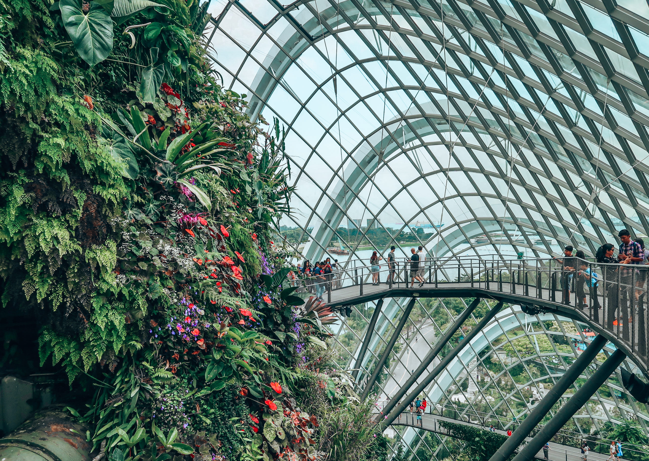 Visiting the Gardens by the Bay - Cloud Forest 