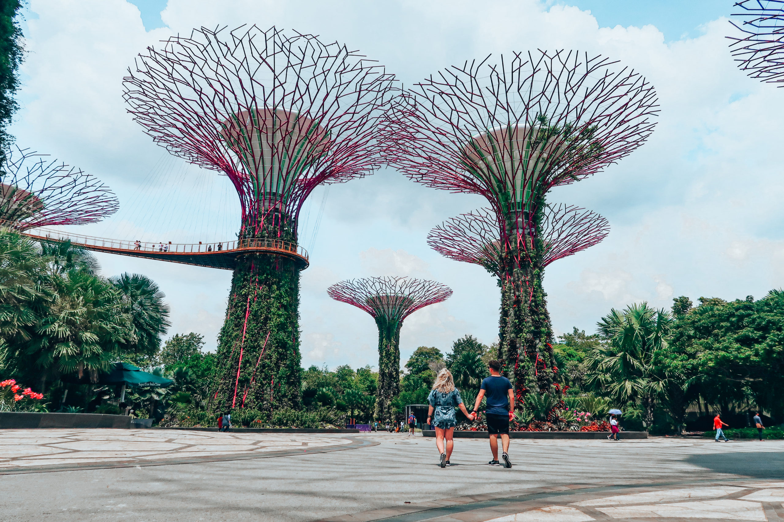 Visiting the Gardens by the Bay - Supertree Grove 