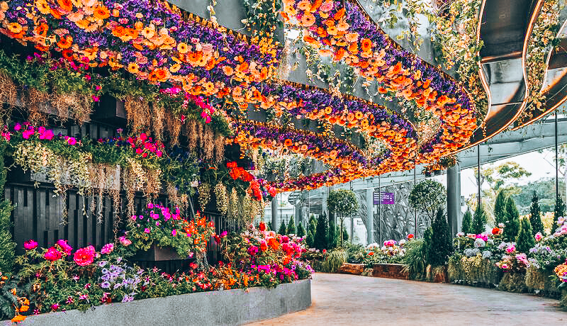 Floral Fantasy in Singapore