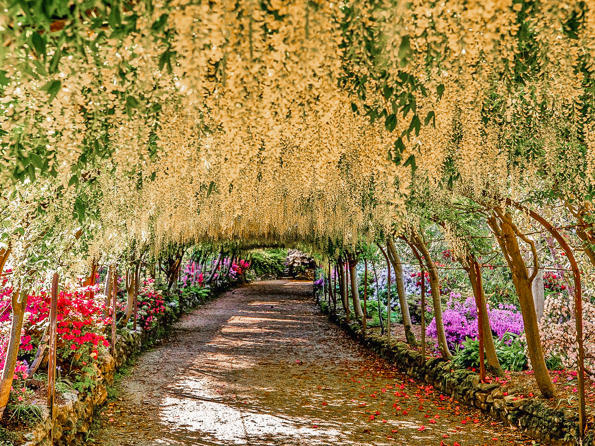 Bodnant Gardens, The Best Things to do in North Wales